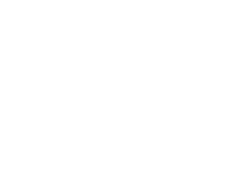 Logo MAES Gent 10 Mijl 2026